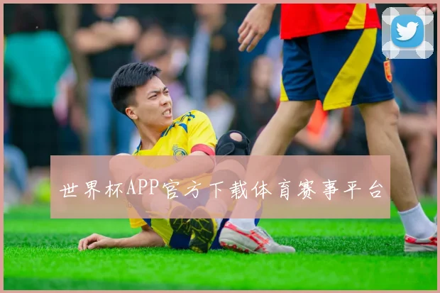 世界杯APP官方下载体育赛事平台