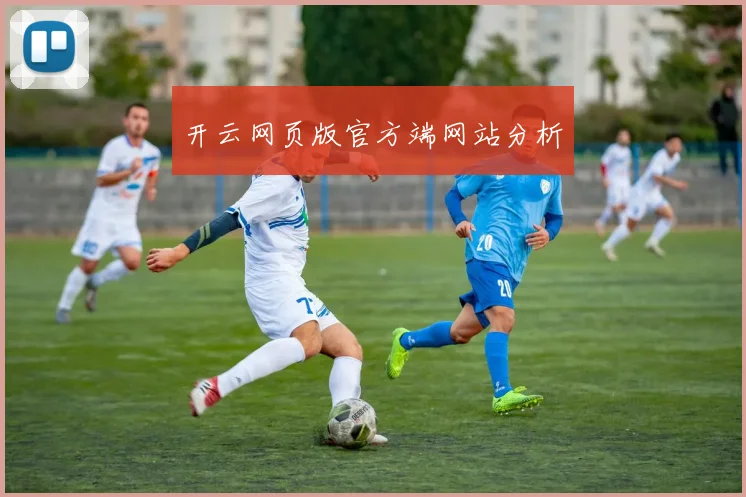 开云网页版官方端网站分析