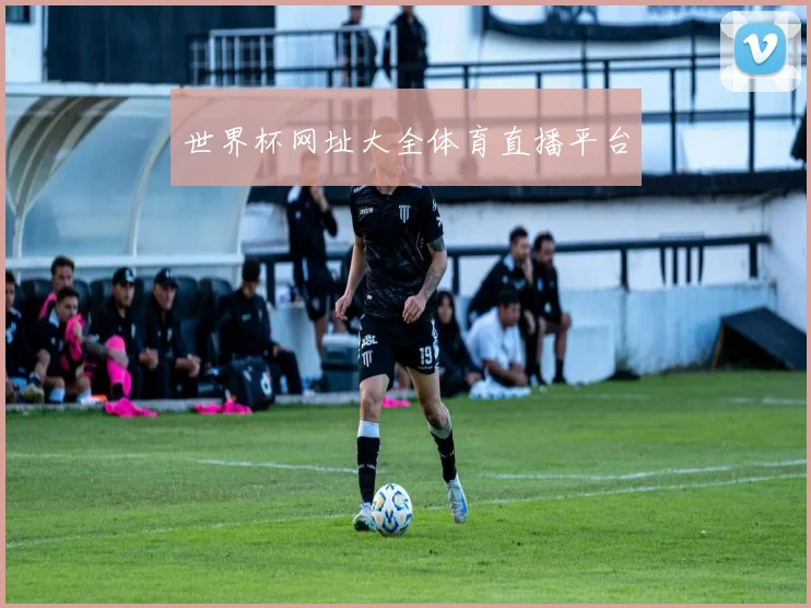世界杯网址大全体育直播平台