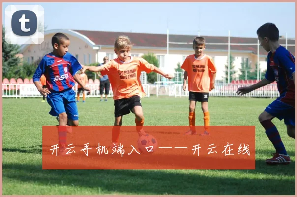 开云手机端入口——开云在线