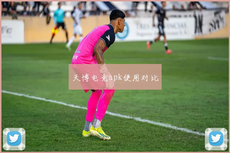 天博电竞apk使用对比