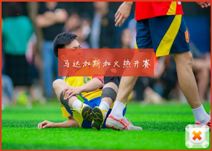 马达加斯加火热开赛