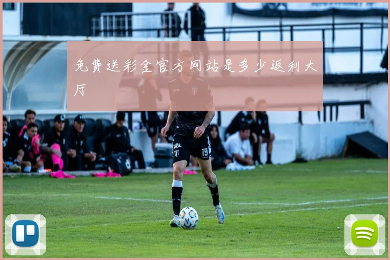 免费送彩金官方网站是多少返利大厅