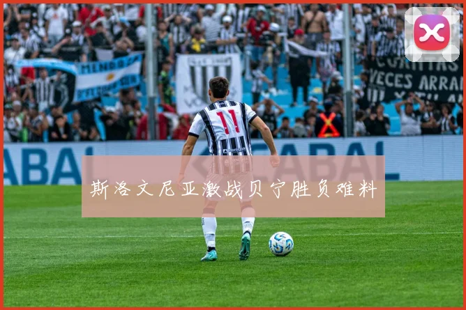 斯洛文尼亚激战贝宁胜负难料