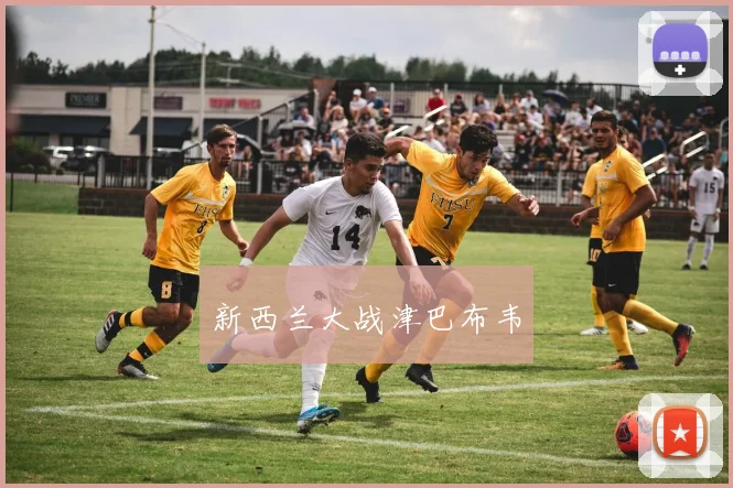 新西兰大战津巴布韦