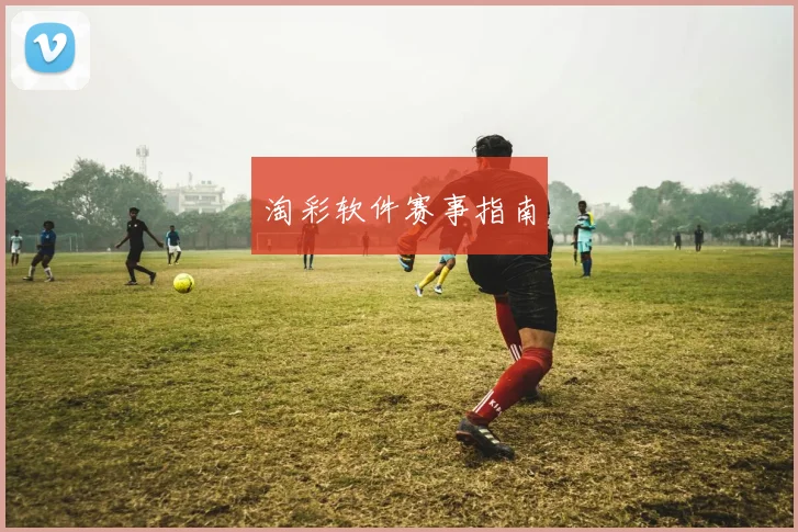 淘彩软件赛事指南