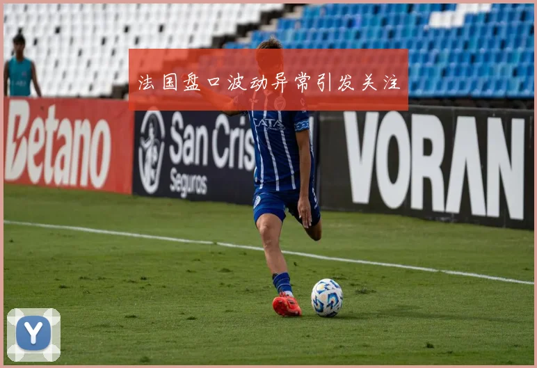 法国盘口波动异常引发关注