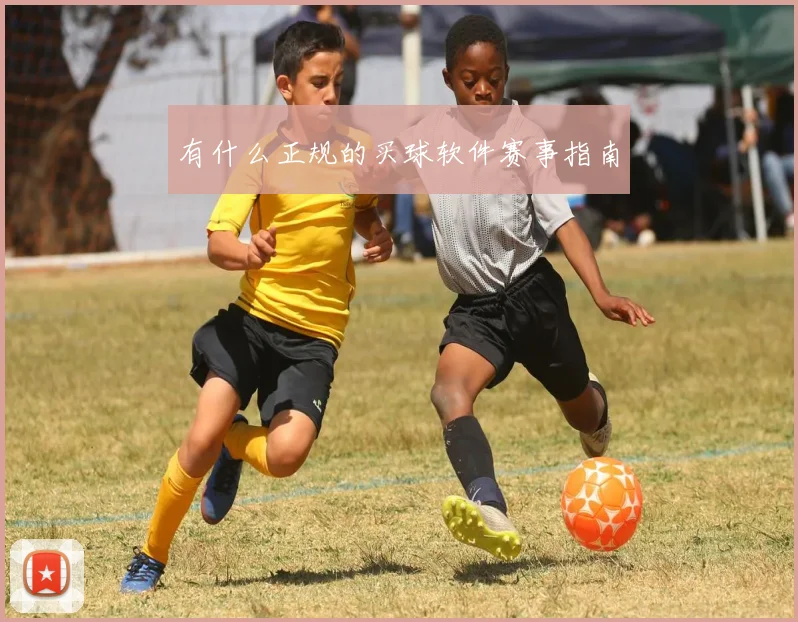 有什么正规的买球软件赛事指南