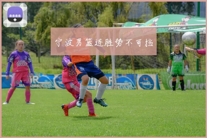 宁波男篮连胜势不可挡