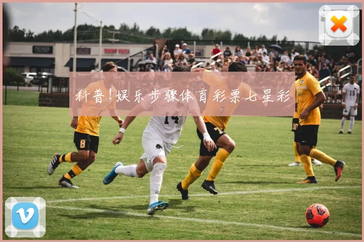 科普!娱乐步骤体育彩票七星彩