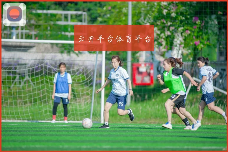 云开平台体育平台