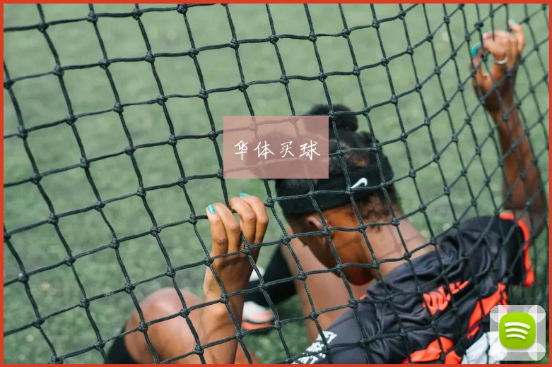 华体买球