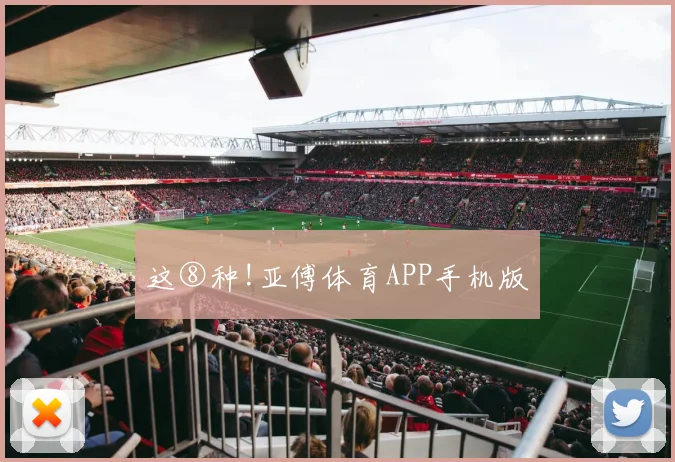 这⑧种!亚傅体育APP手机版