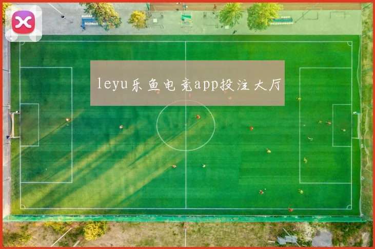 leyu乐鱼电竞app投注大厅