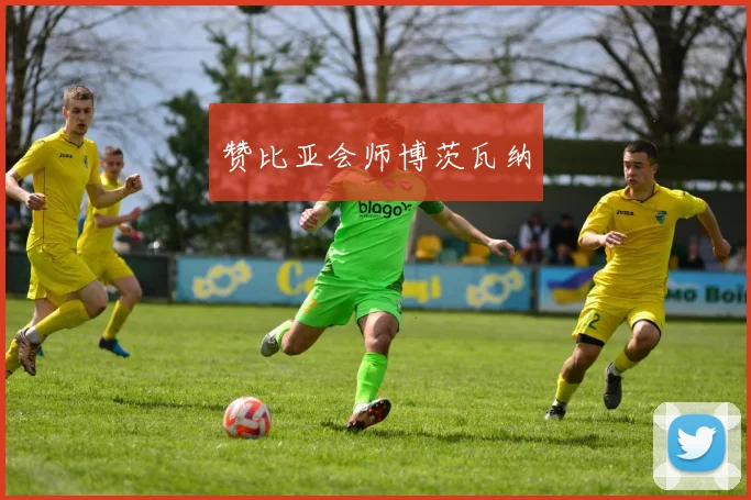 赞比亚会师博茨瓦纳