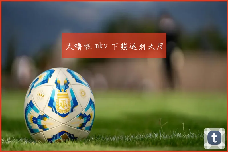 天噜啦 mkv 下载返利大厅