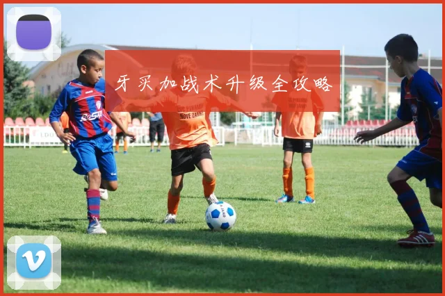 牙买加战术升级全攻略