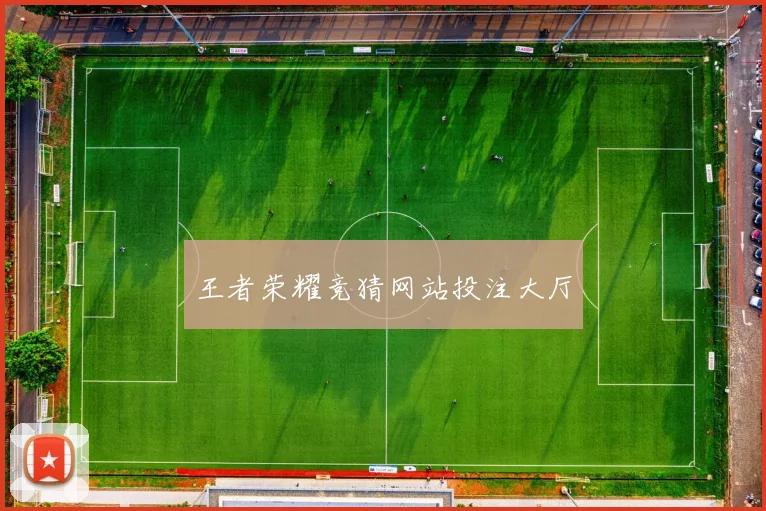 王者荣耀竞猜网站投注大厅