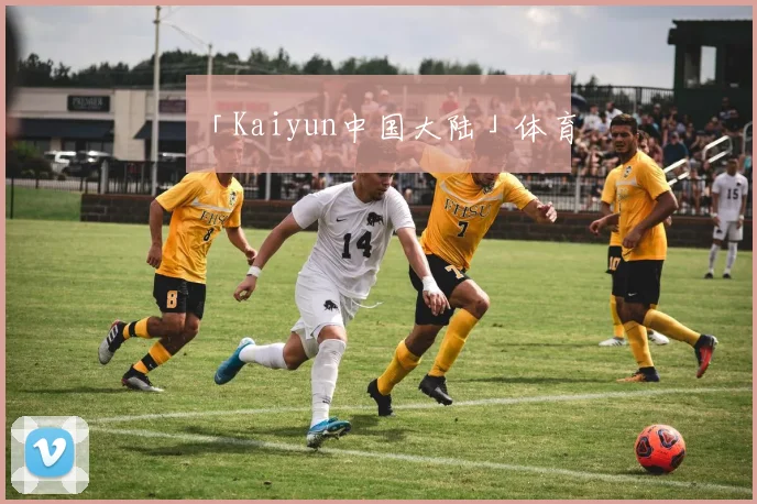 「Kaiyun中国大陆」体育