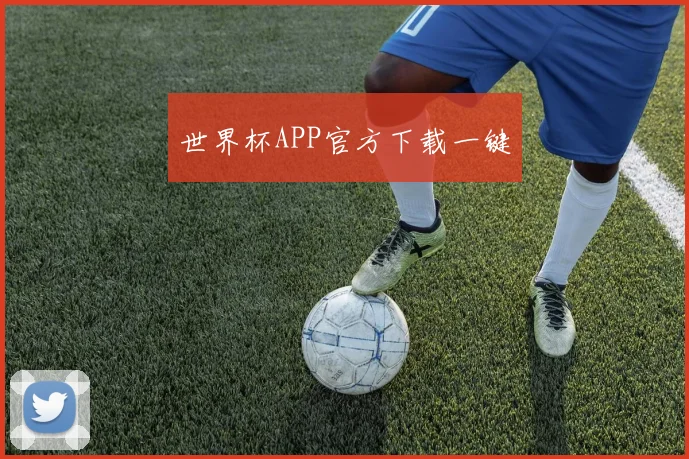 世界杯APP官方下载一键