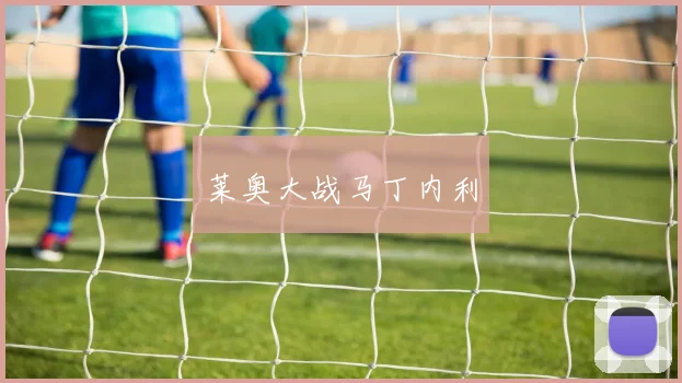 莱奥大战马丁内利
