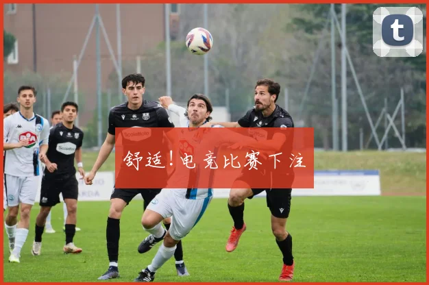舒适!电竞比赛下注