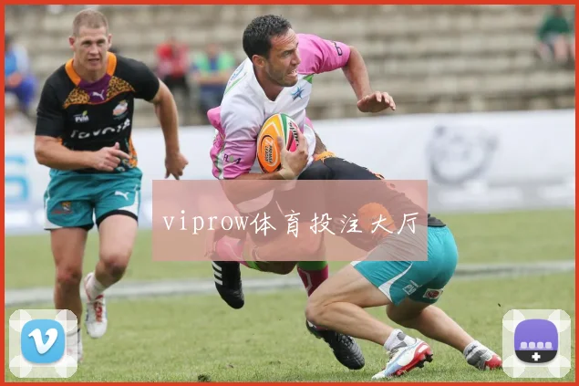 viprow体育投注大厅
