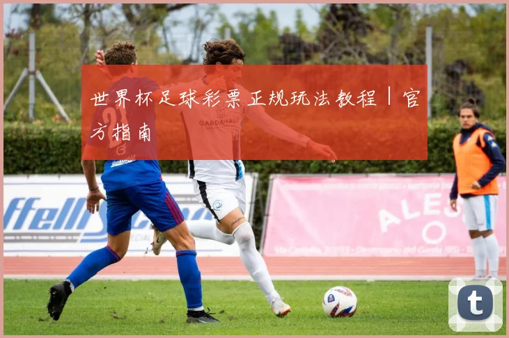 世界杯足球彩票正规玩法教程｜官方指南