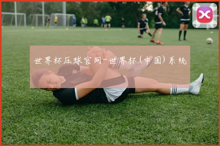 世界杯压球官网-世界杯(中国)系统