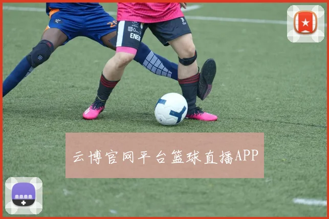云博官网平台篮球直播APP