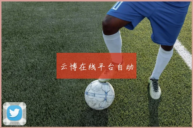 云博在线平台自动