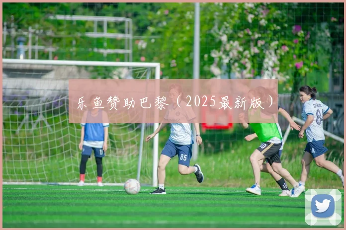 乐鱼赞助巴黎（2025最新版）