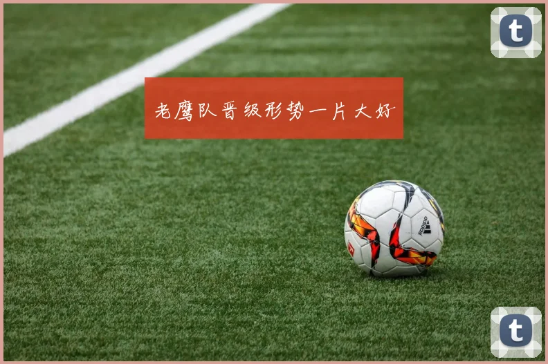 老鹰队晋级形势一片大好