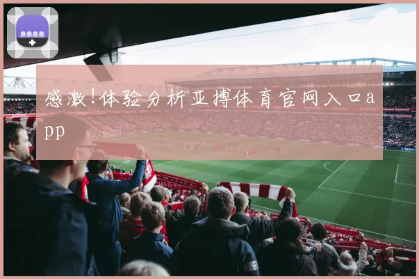 感激!体验分析亚搏体育官网入口app
