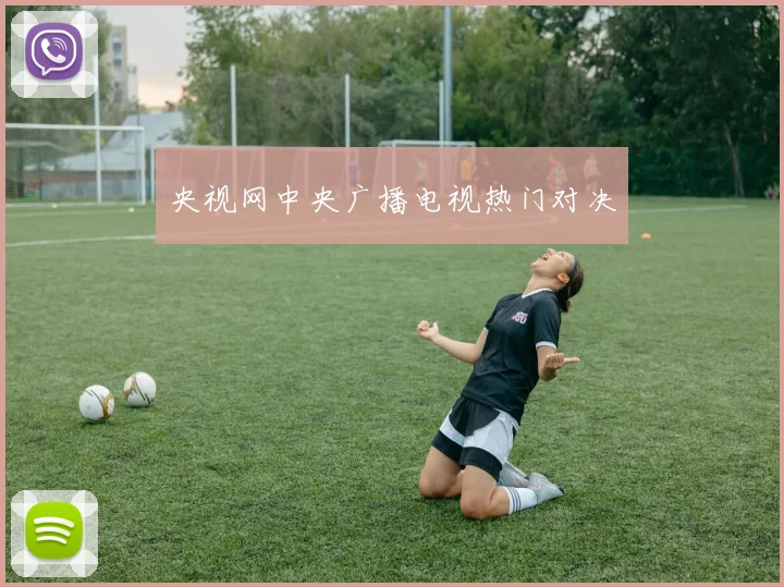 央视网中央广播电视热门对决