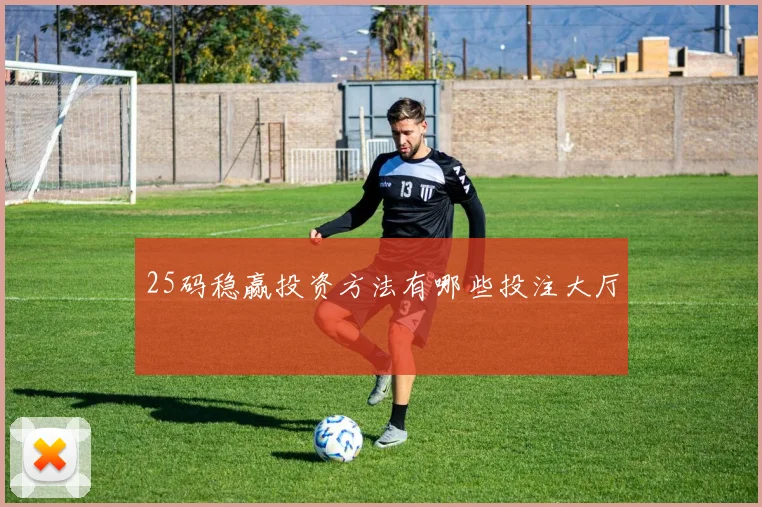 25码稳赢投资方法有哪些投注大厅