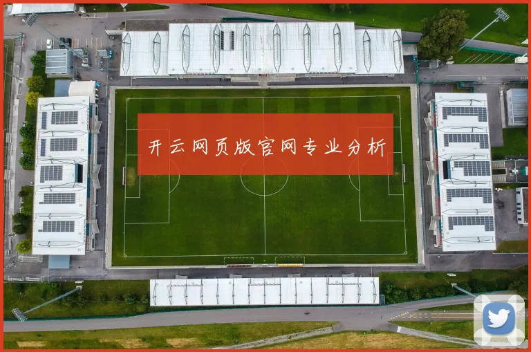开云网页版官网专业分析
