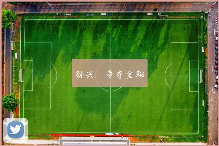 孙兴慜争夺金靴