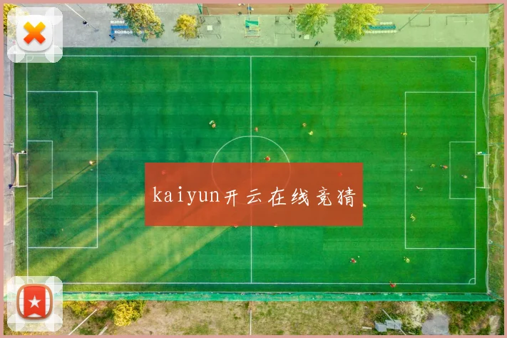 kaiyun开云在线竞猜