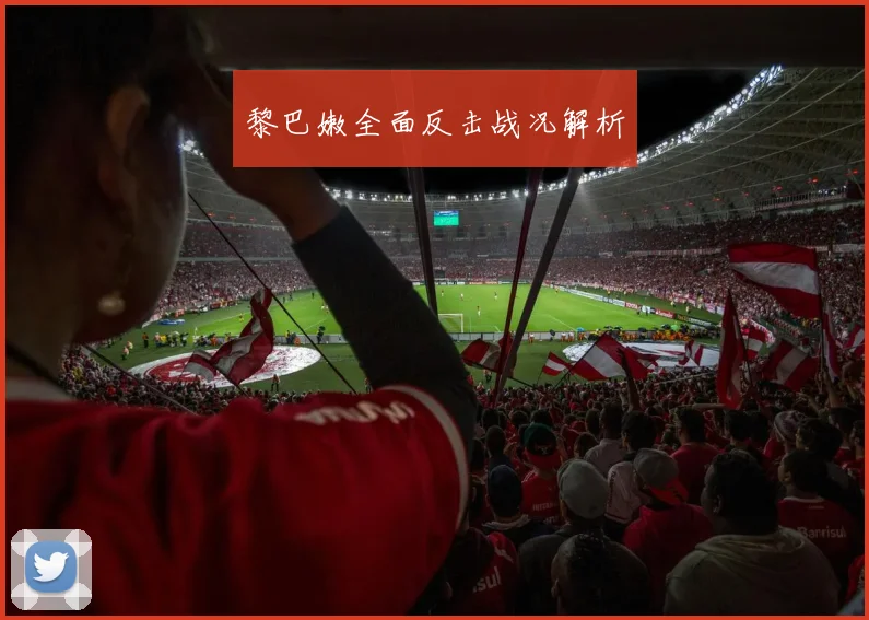 黎巴嫩全面反击战况解析
