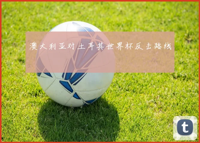 澳大利亚对土耳其世界杯反击路线